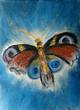 Thomas Werk - butterfly