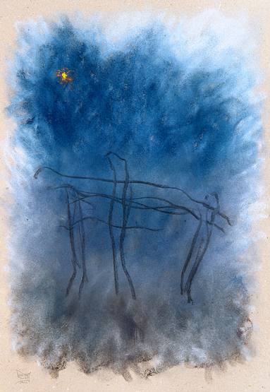 thomas werk holy night